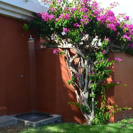 The Peaches Bungalows 45 & 46 Maspalomas  Ngoại thất bức ảnh